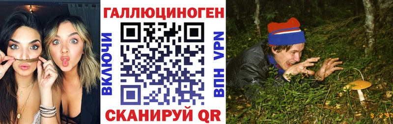 Галлюциногенные грибы GOLDEN TEACHER  где найти наркотики  Харовск 